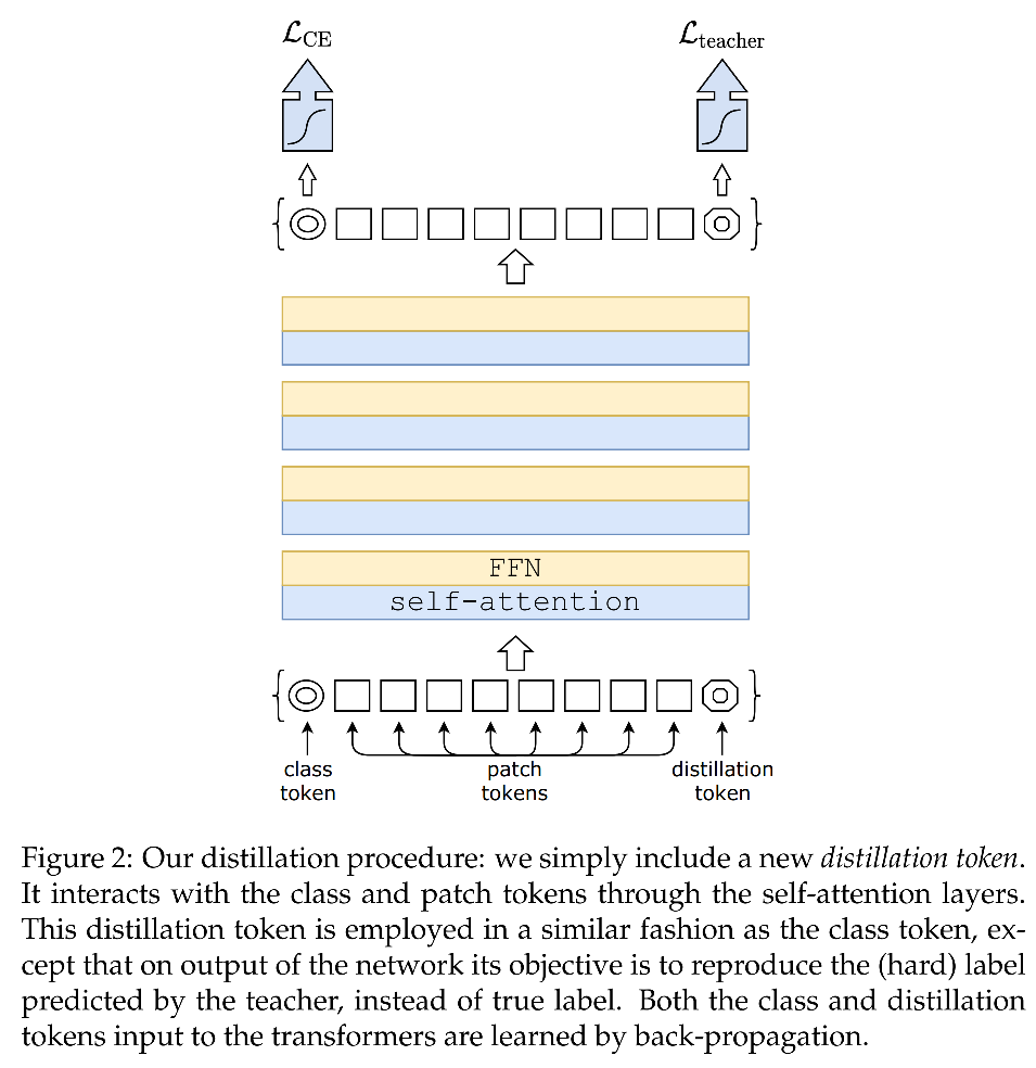 【论文笔记】Training Data-efficient Image Transformers & Distillation Through ...